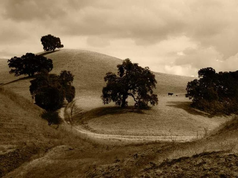 Content-Based Instruction